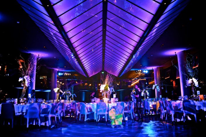 Quaglinos london wedding event party lighting design - uplighting and pinspotting