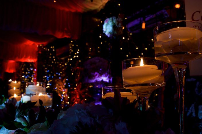 Northbrook house Indian Bride Wedding - Lighting design, backdrop, pinspotting, dance floor uplighting, festoon canopy, fairylights