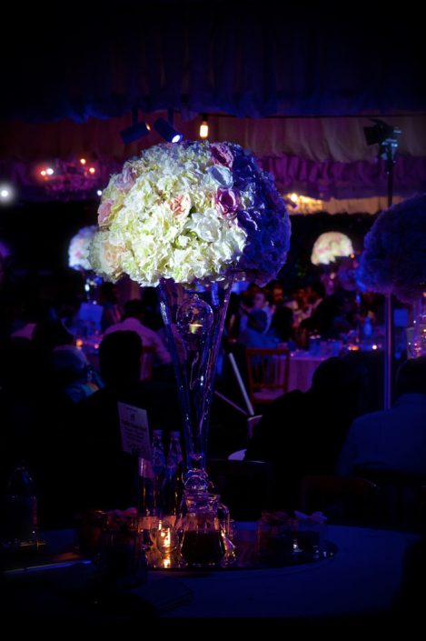 Northbrook house Indian Bride Wedding - Lighting design, backdrop, pinspotting, dance floor uplighting, festoon canopy, fairylights