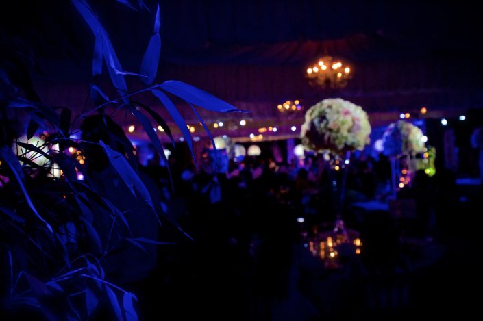 Northbrook house Indian Bride Wedding - Lighting design, backdrop, pinspotting, dance floor uplighting, festoon canopy, fairylights