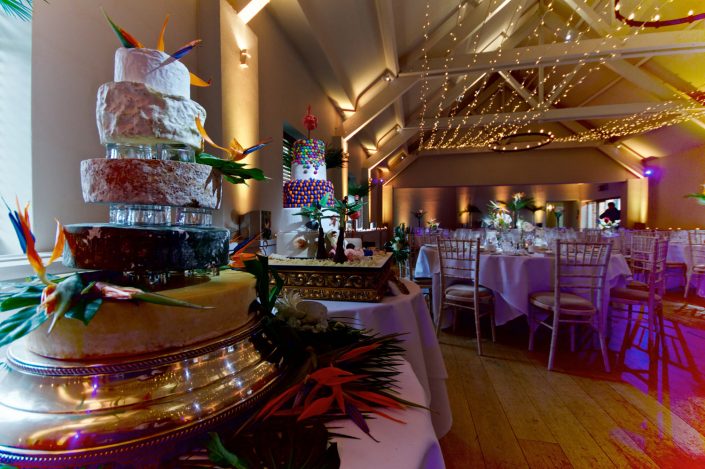 Stoke Place wedding party event lighting - fairylight canopy, uplighting, pinspotting, exterior garden lighting