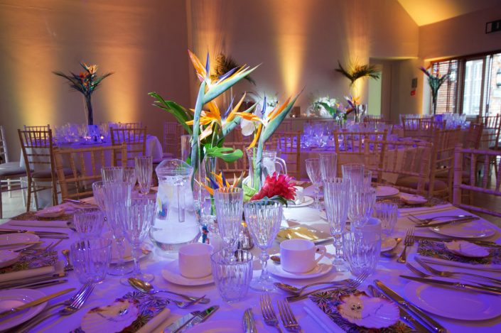 Stoke Place wedding party event lighting - fairylight canopy, uplighting, pinspotting, exterior garden lighting