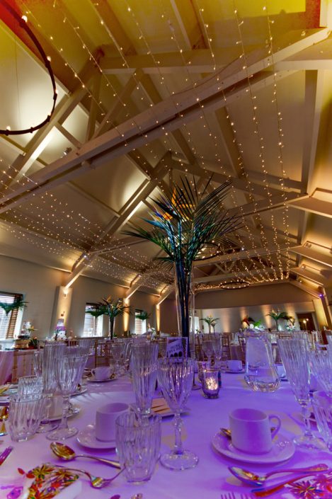 Stoke Place wedding party event lighting - fairylight canopy, uplighting, pinspotting, exterior garden lighting