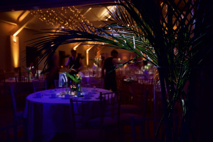Stoke Place wedding party event lighting - fairylight canopy, uplighting, pinspotting, exterior garden lighting