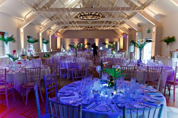 Stoke Place wedding party event lighting - fairylight canopy, uplighting, pinspotting, exterior garden lighting