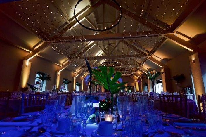 Stoke Place wedding party event lighting - fairylight canopy, uplighting, pinspotting, exterior garden lighting