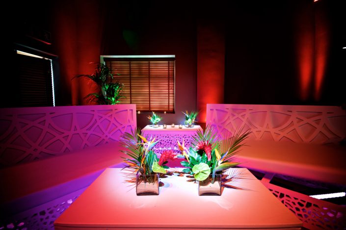Stoke Place wedding party event lighting - fairylight canopy, uplighting, pinspotting, exterior garden lighting