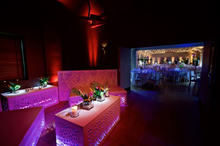 Stoke Place wedding party event lighting - fairylight canopy, uplighting, pinspotting, exterior garden lighting