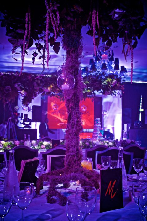 The Hilton Syon Park London - Indian Bride Wedding - Lighting design, backdrop, pinspotting, dance-floor uplighting