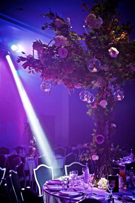 The Hilton Syon Park London - Indian Bride Wedding - Lighting design, backdrop, pinspotting, dance-floor uplighting