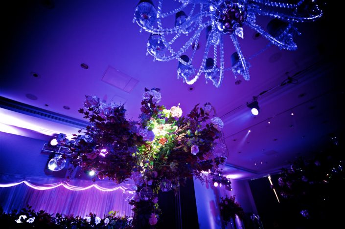 The Hilton Syon Park London - Indian Bride Wedding - Lighting design, backdrop, pinspotting, dance-floor uplighting