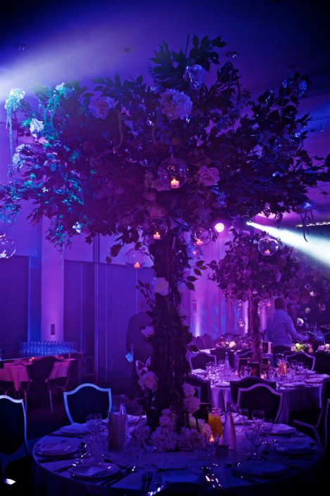 The Hilton Syon Park London - Indian Bride Wedding - Lighting design, backdrop, pinspotting, dance-floor uplighting