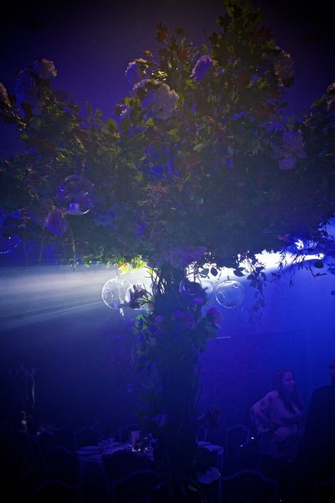 The Hilton Syon Park London - Indian Bride Wedding - Lighting design, backdrop, pinspotting, dance-floor uplighting