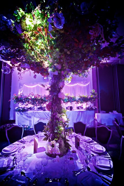 The Hilton Syon Park London - Indian Bride Wedding - Lighting design, backdrop, pinspotting, dance-floor uplighting