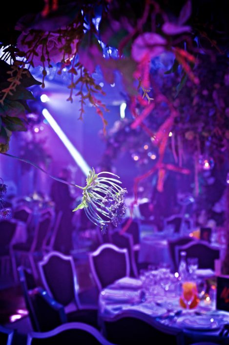 The Hilton Syon Park London - Indian Bride Wedding - Lighting design, backdrop, pinspotting, dance-floor uplighting