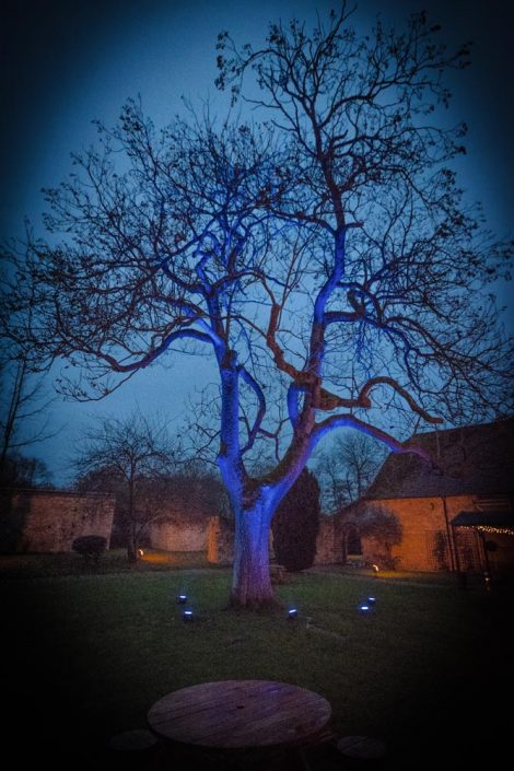 Notley Abbey table lighting, fairylights, wedding candles, tree lighting