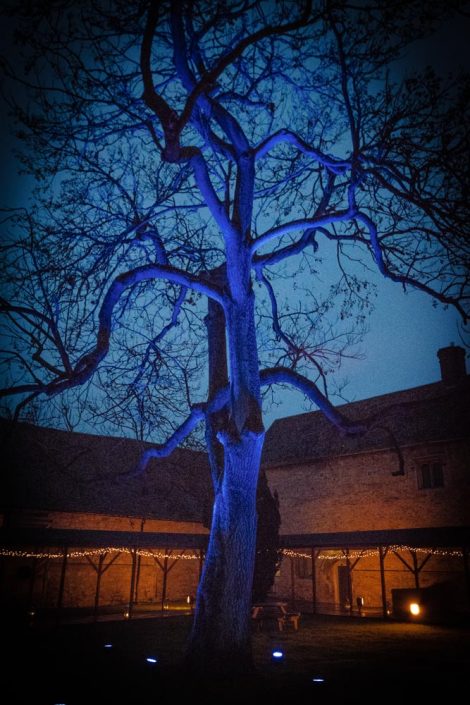 Notley Abbey table lighting, fairylights, wedding candles, tree lighting