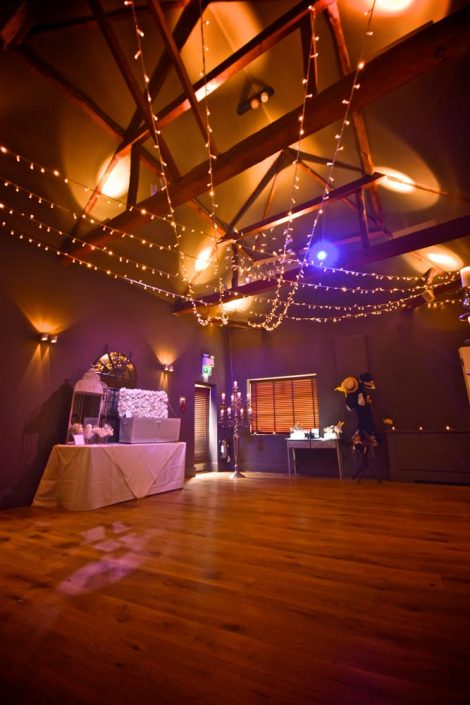 Stoke Place wedding party event lighting - fairylight canopy, uplighting, pinspotting, exterior garden lighting