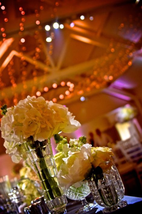 Stoke Place wedding party event lighting - fairylight canopy, uplighting, pinspotting, exterior garden lighting