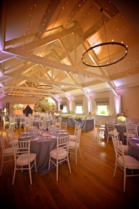 Stoke Place wedding party event lighting - fairylight canopy, uplighting, pinspotting, exterior garden lighting