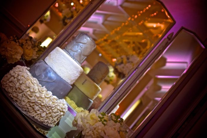 Stoke Place wedding party event lighting - fairylight canopy, uplighting, pinspotting, exterior garden lighting